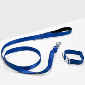 Blue Pet Collar Walk Kit
