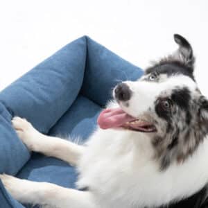 Supportive Cotton-Linen Canvas Dog Sofa Bed – Durable, Easy-Clean Comfort Lounger