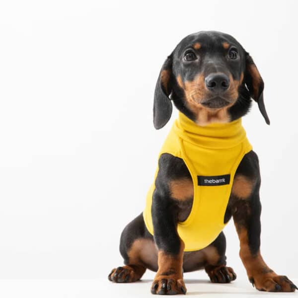 2 17691111111111111111111111