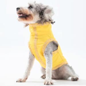 Yellow Lightweight Waterproof Dog Jacket
