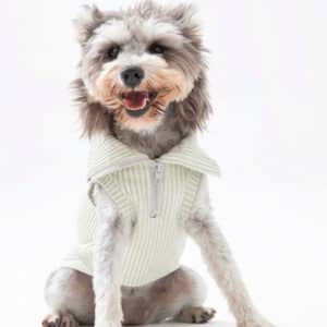Pet Outerwear