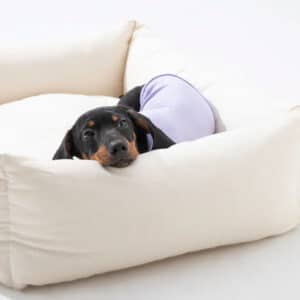 Supportive Cotton-Linen Canvas Dog Sofa Bed – Durable & Breathable Pet Lounger