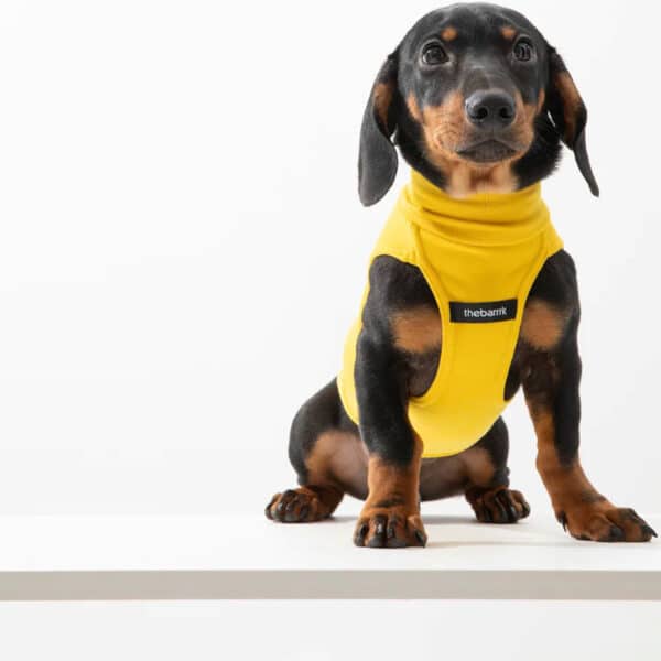 8e6b886b0810f834bb9dc3e32909934911111111111