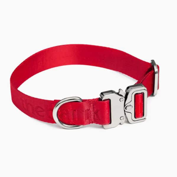 Capture One Catalog0009 78beeae9 cc1f 4eb9 8409 61d1b433d8bd