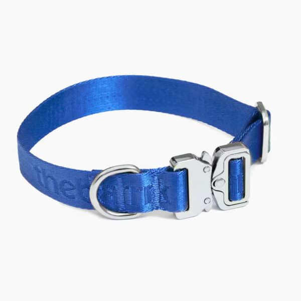 blue 1