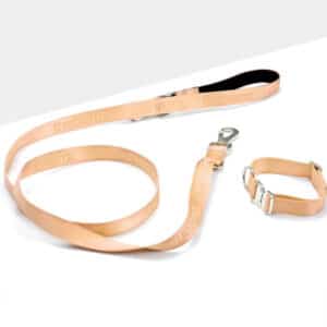 Yellow Pet Collar Walk Kit