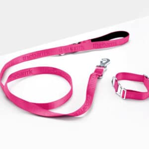 Rose-red Pet Collar Walk Kit