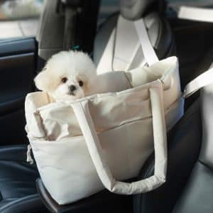 Pet Travel Carrier
